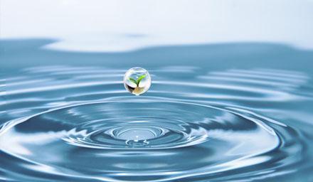 喜報 | 海星股份成功獲評“江蘇省節(jié)水型企業(yè)”！