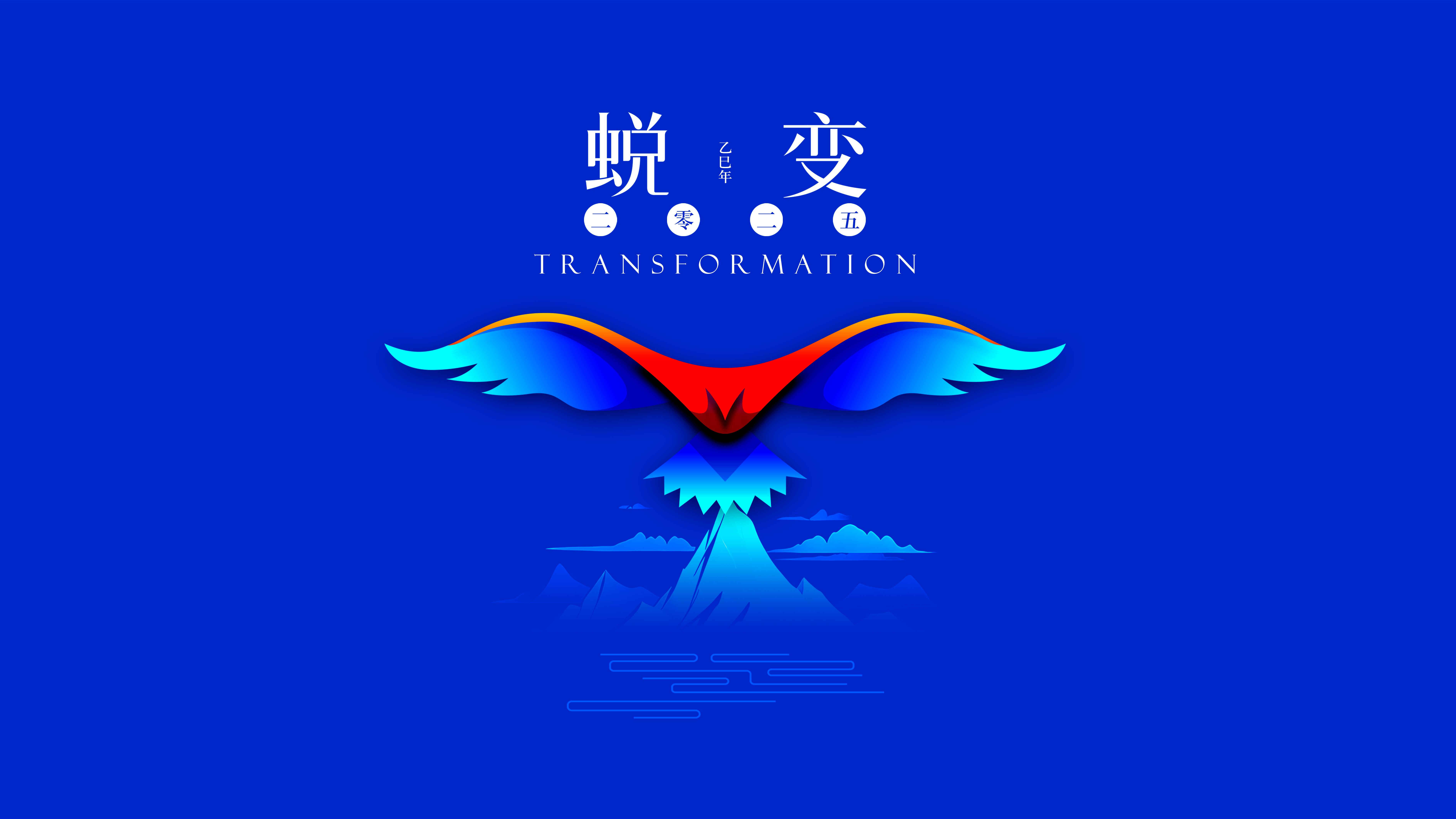 我與海星的2024，期待2025年與您一起續(xù)寫美好篇章